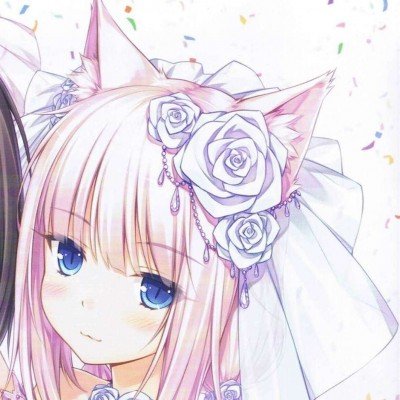 女子被未拴绳狗扑倒致骨折获赔17万